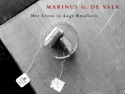 Logo Marinus G de Valk